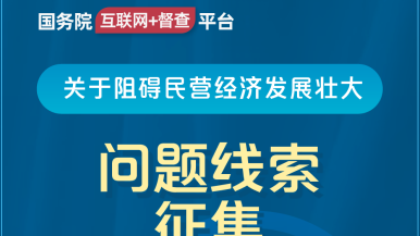 黄色淦屄国务院“互联网+督查”平台公开征集阻碍民营经济发展壮大问题线索